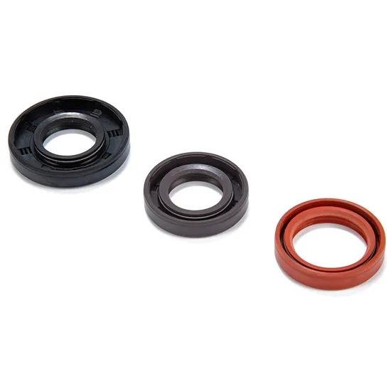 Tc 12x21x4mm Oil Seal NBR Material Oil Seal 12x22x7mm
