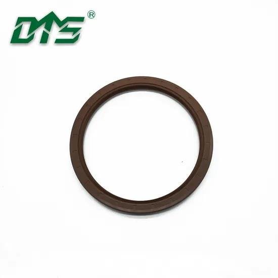 Auto Industry FKM Oil Seals Tc