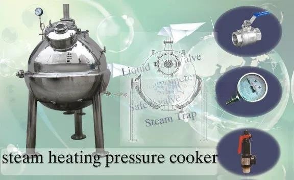 Stainless Steel Pressure Cooker _vacuum jacketed cooker